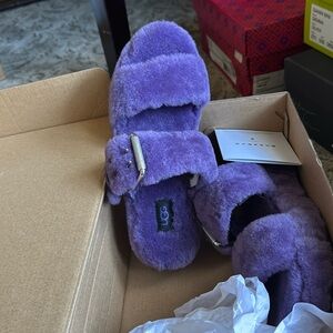 Ugg slippers